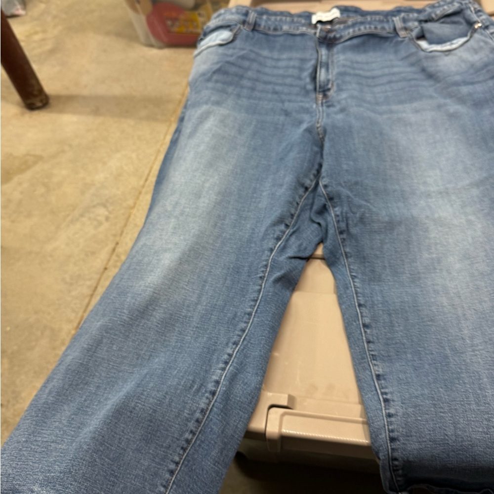 Lane Bryant Classic Blue Jeans